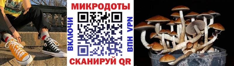 blacksprut маркетплейс  Полевской  Галлюциногенные грибы GOLDEN TEACHER  цены наркотик 